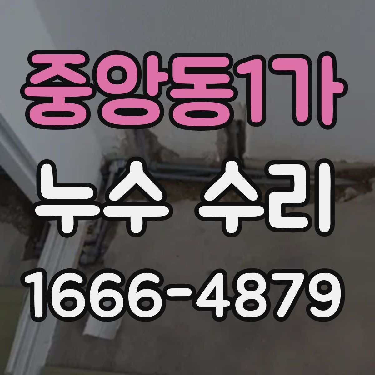 중앙동1가 누수 수리