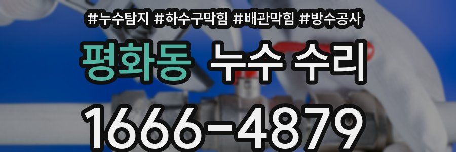 평화동 누수 수리