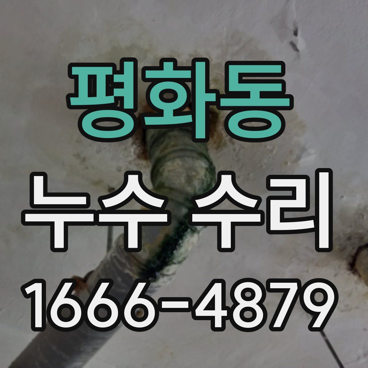 평화동 누수 수리