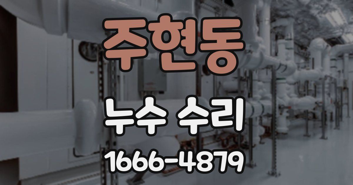주현동 누수 수리