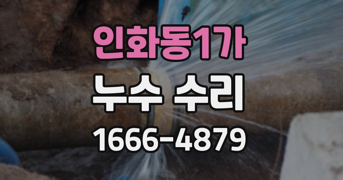 인화동1가 누수 수리