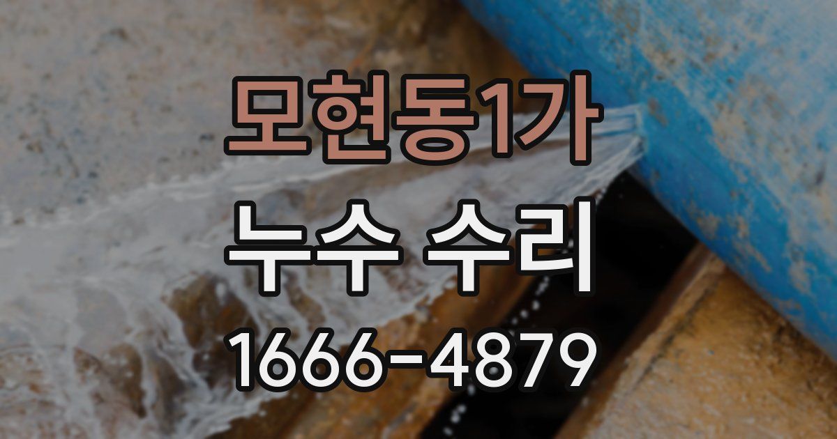 모현동1가 누수 수리