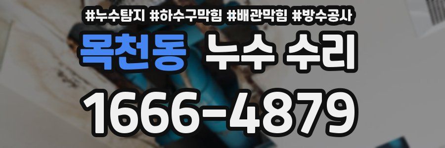 목천동 누수 수리