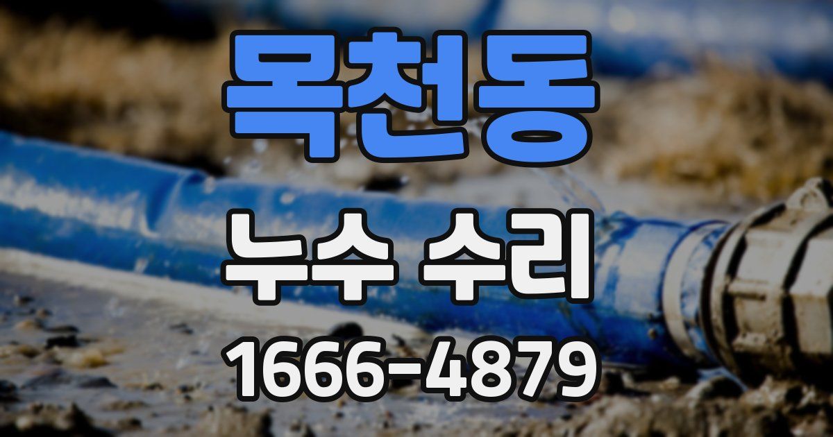 목천동 누수 수리