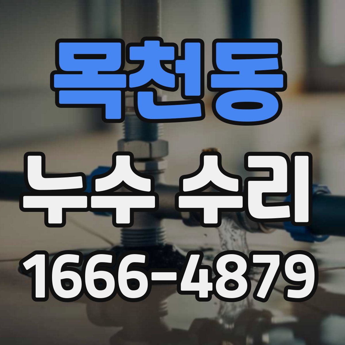 목천동 누수 수리