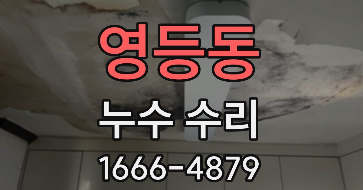 영등동 누수 수리