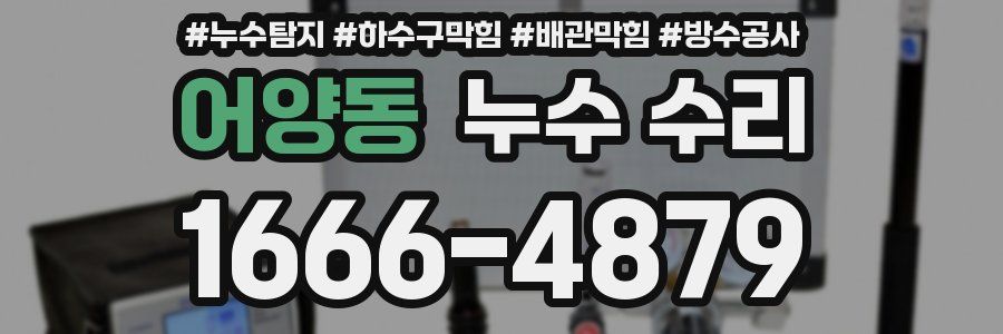 어양동 누수 수리