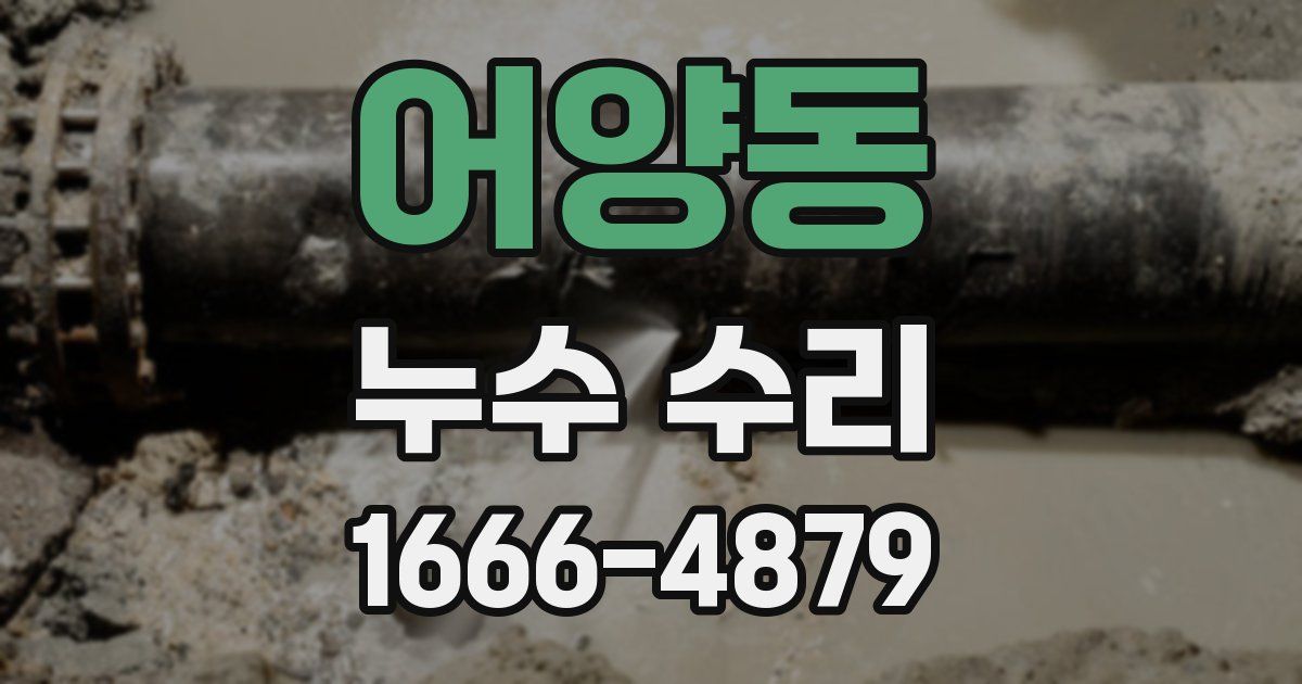 어양동 누수 수리