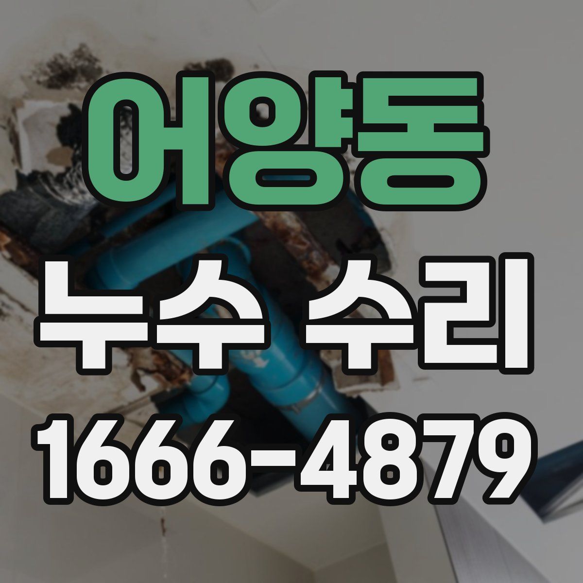어양동 누수 수리