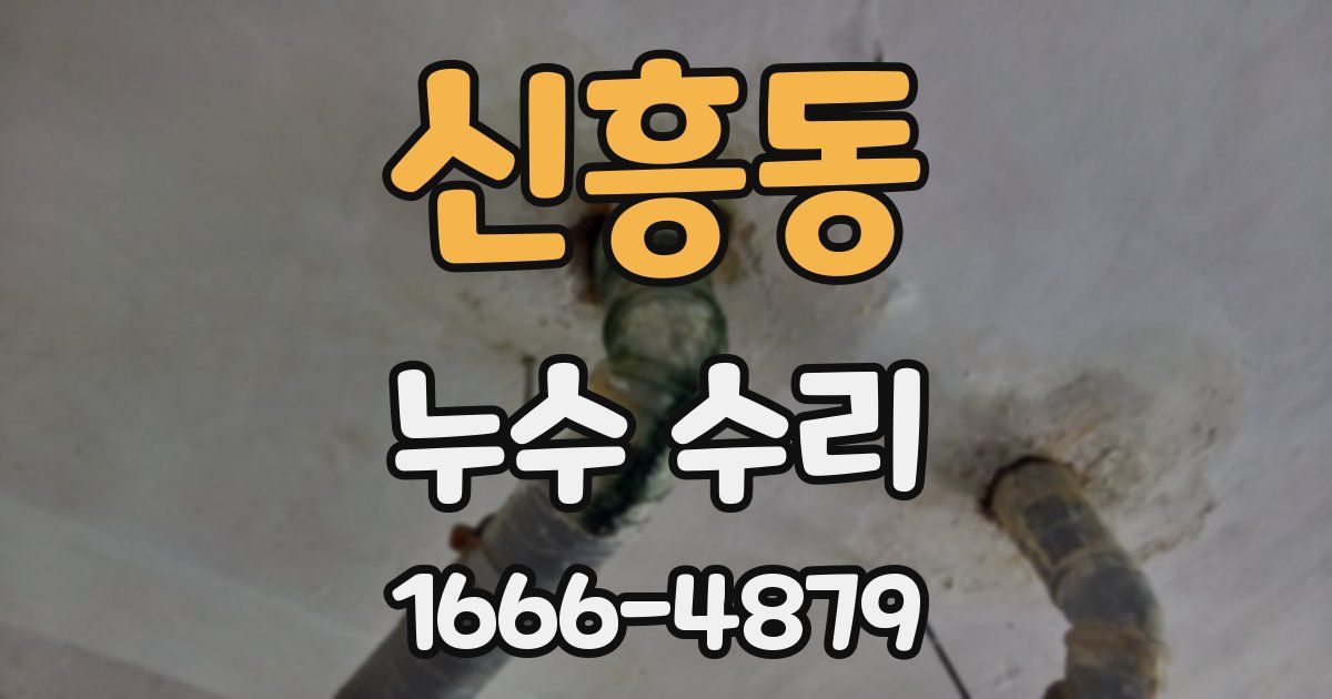 신흥동 누수 수리
