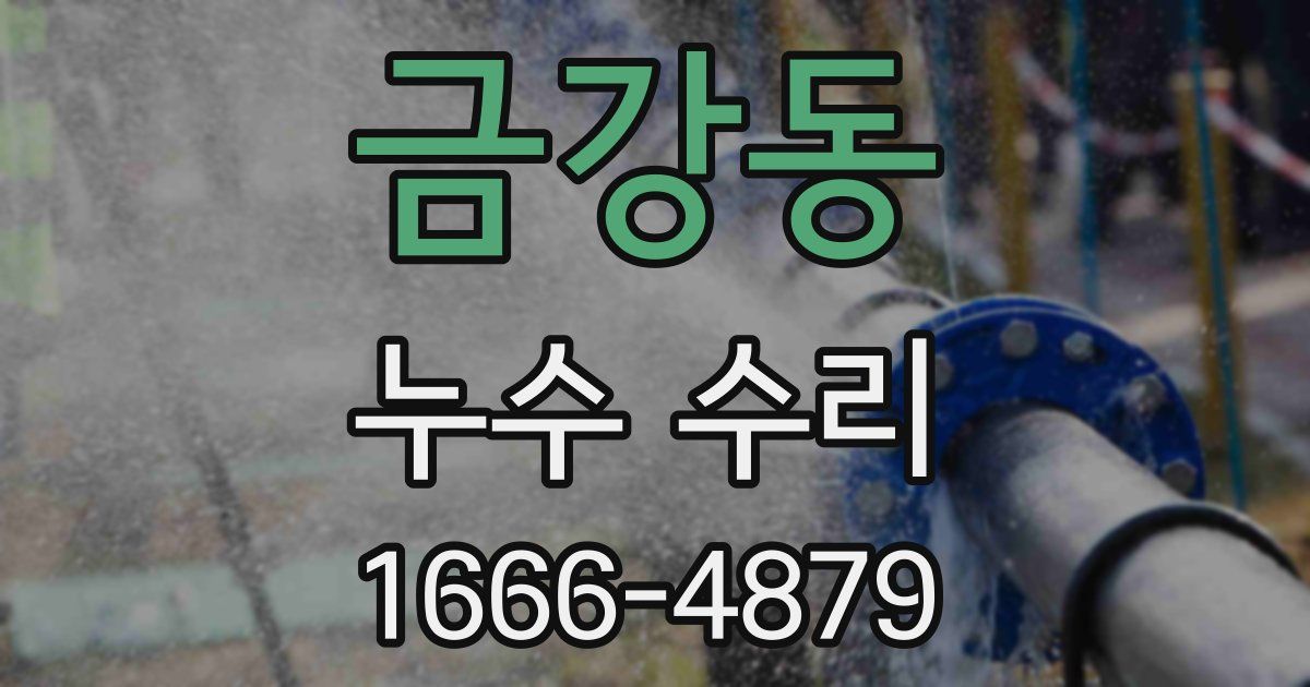 금강동 누수 수리