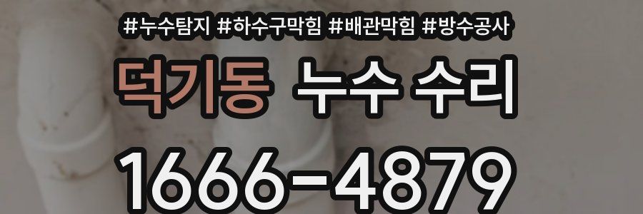 덕기동 누수 수리