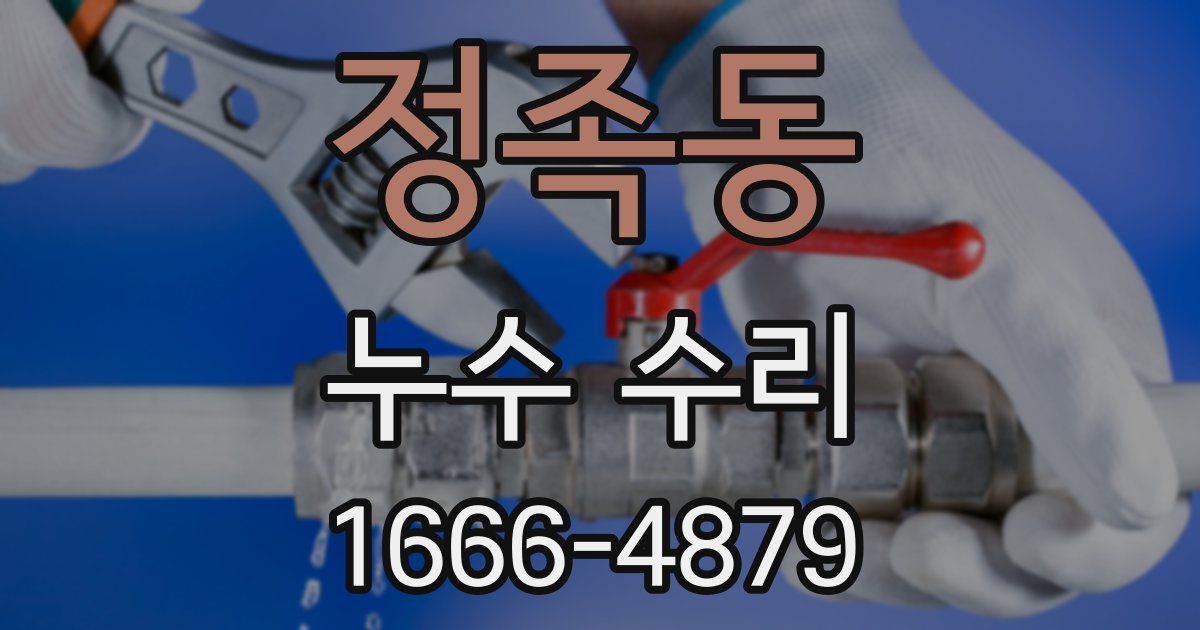 정족동 누수 수리
