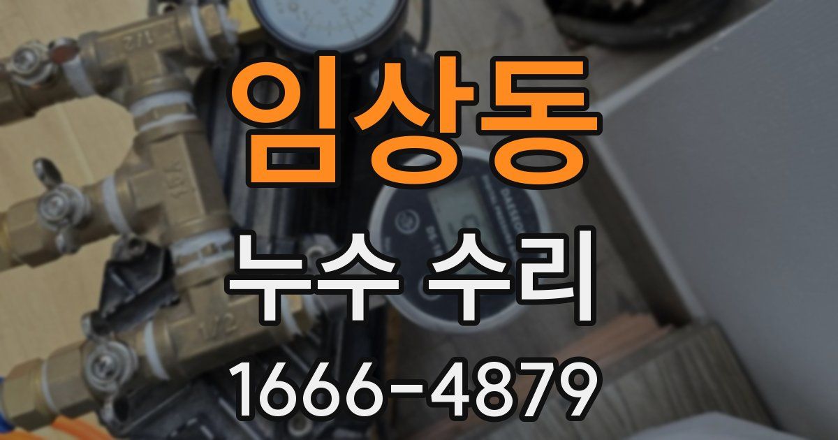 임상동 누수 수리