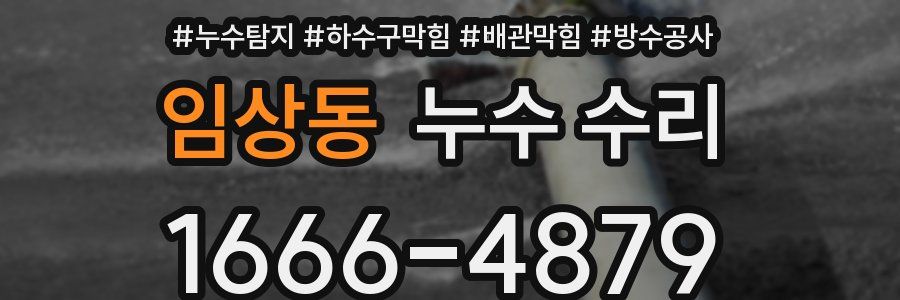 임상동 누수 수리
