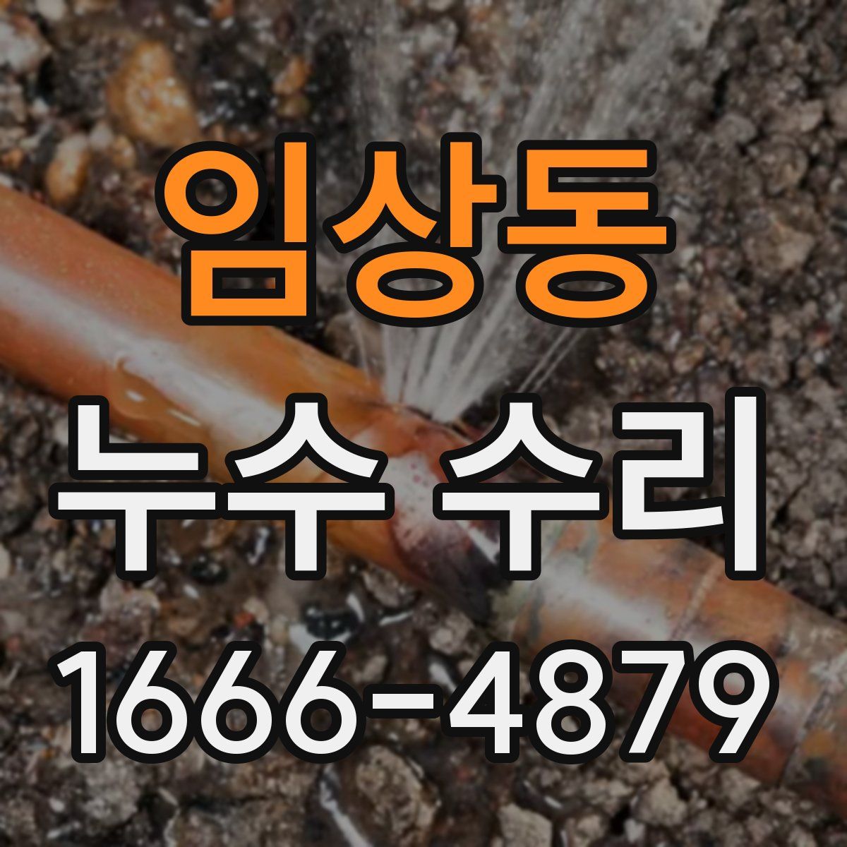 임상동 누수 수리
