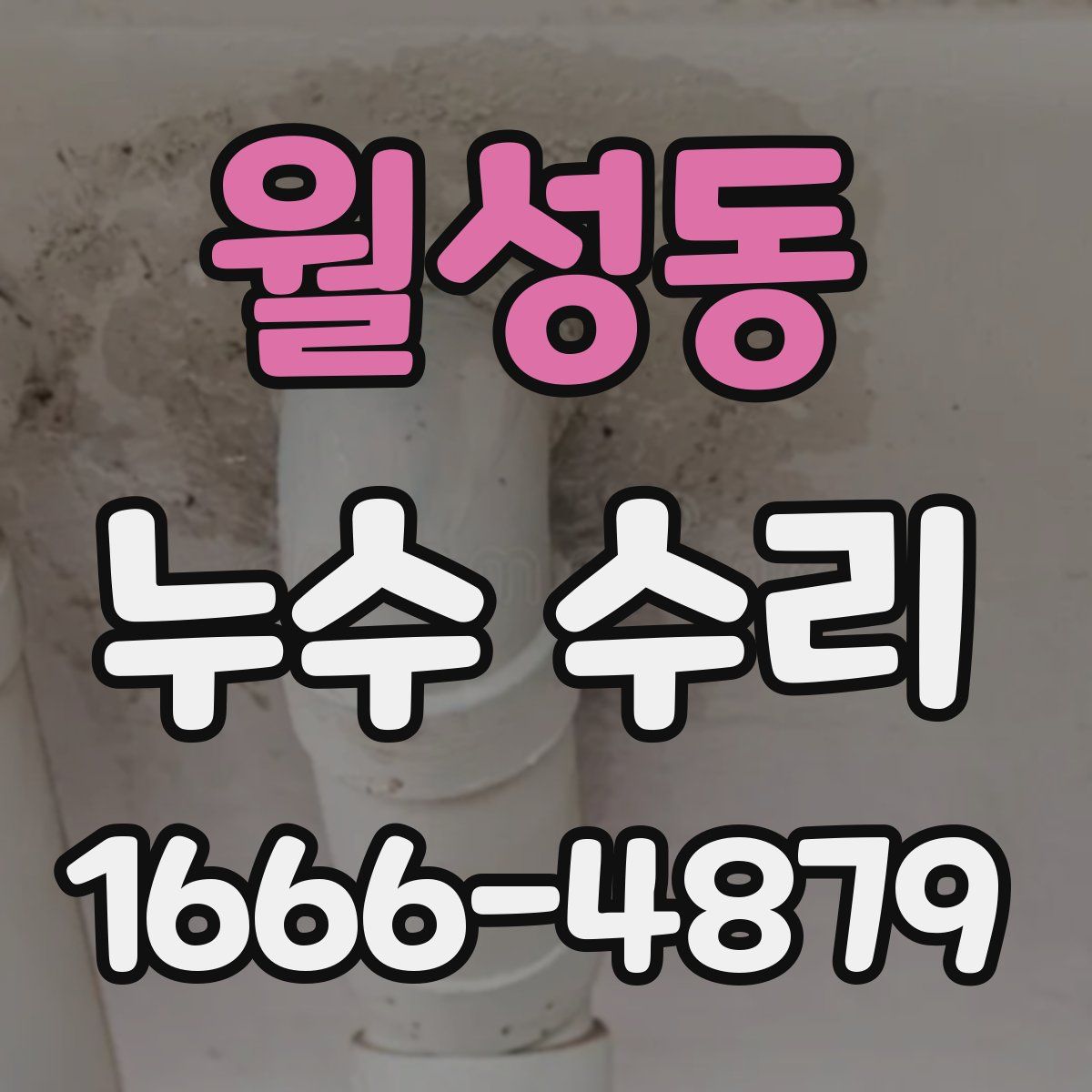 월성동 누수 수리