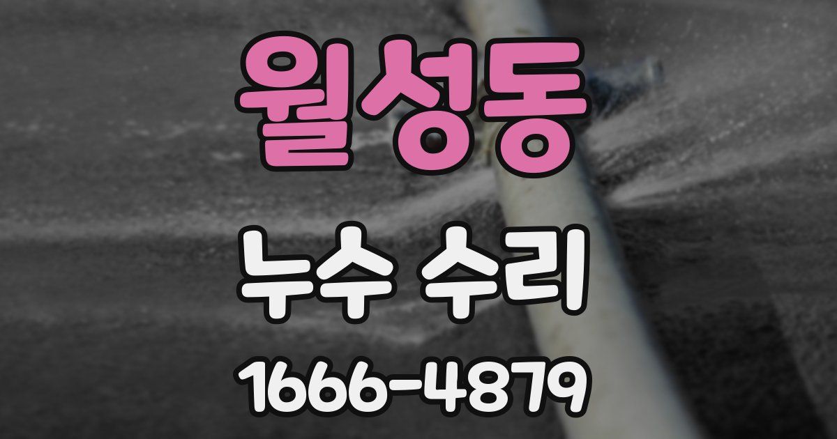 월성동 누수 수리