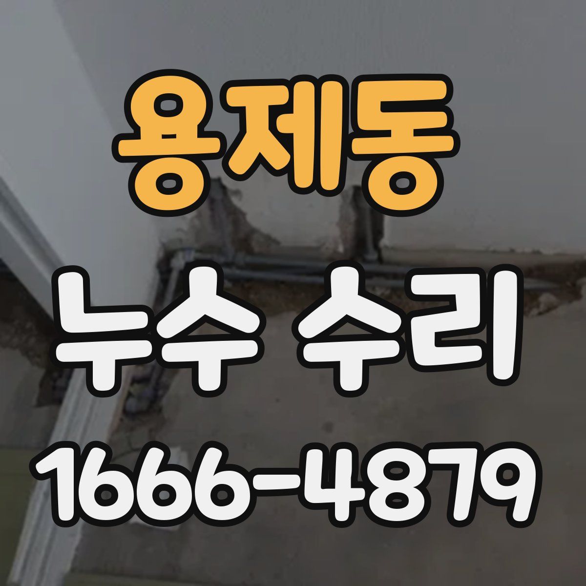 용제동 누수 수리