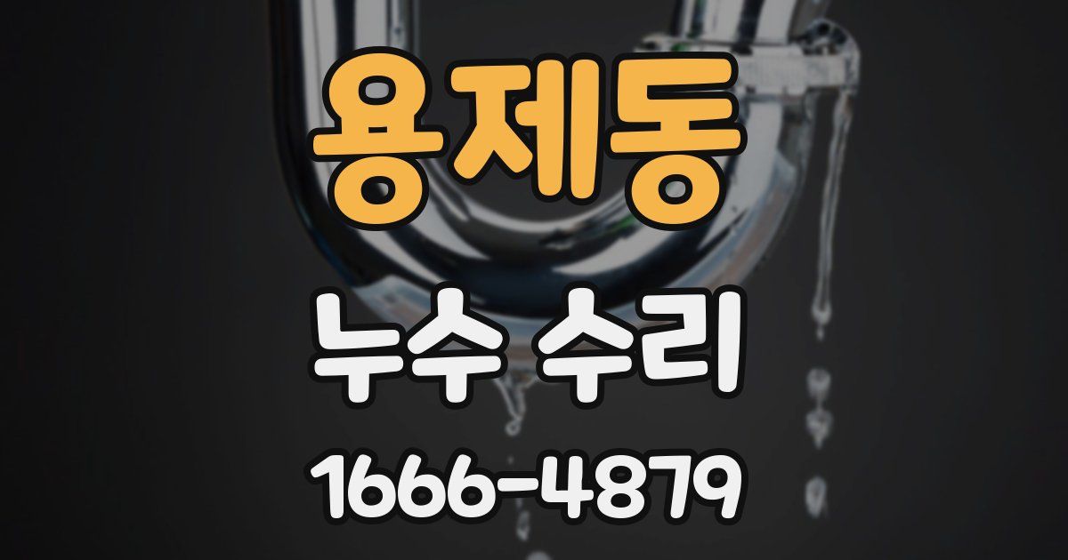 용제동 누수 수리