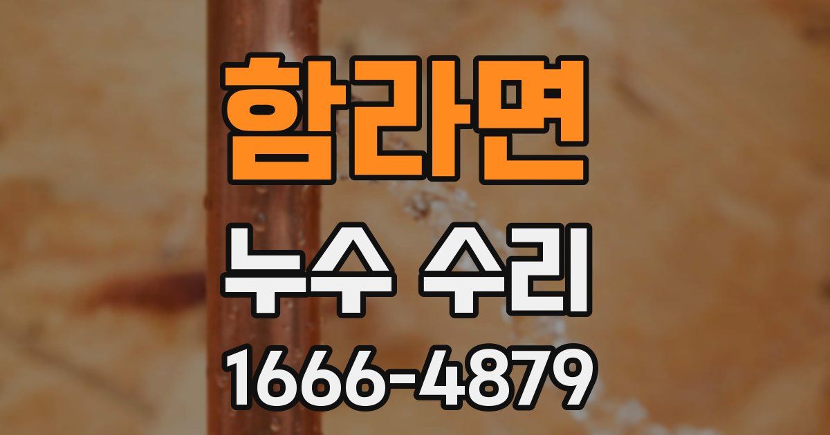 함라면 누수 수리