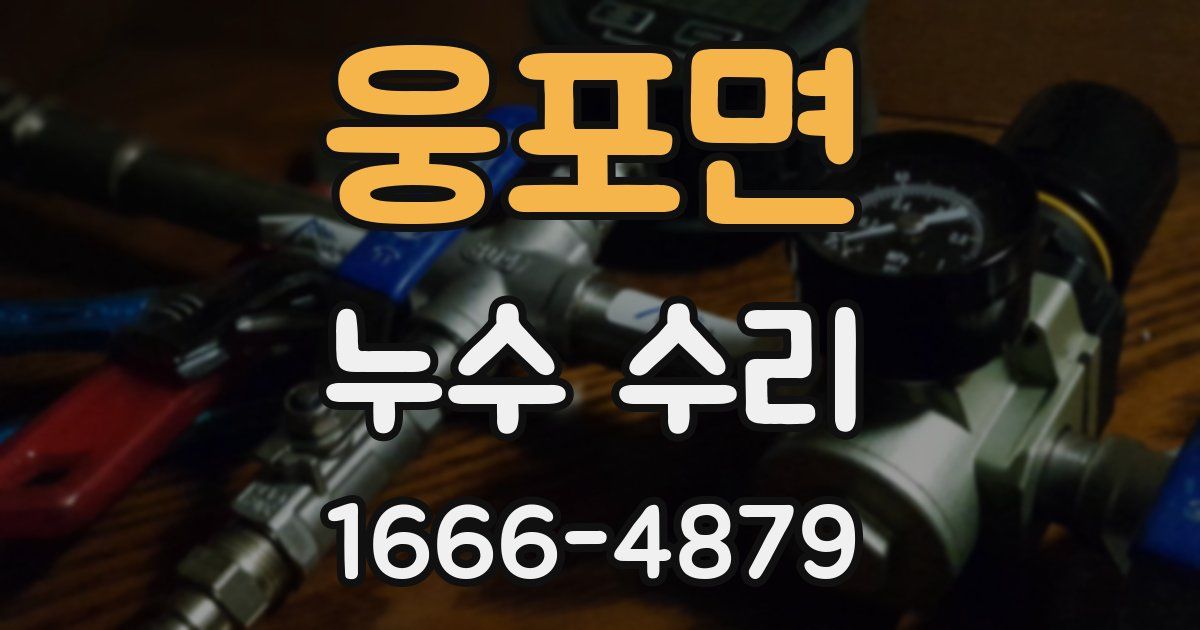 웅포면 누수 수리