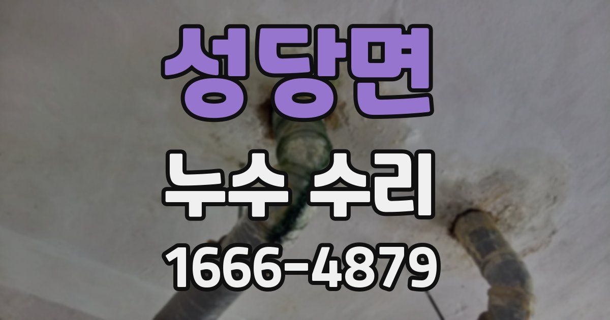 성당면 누수 수리