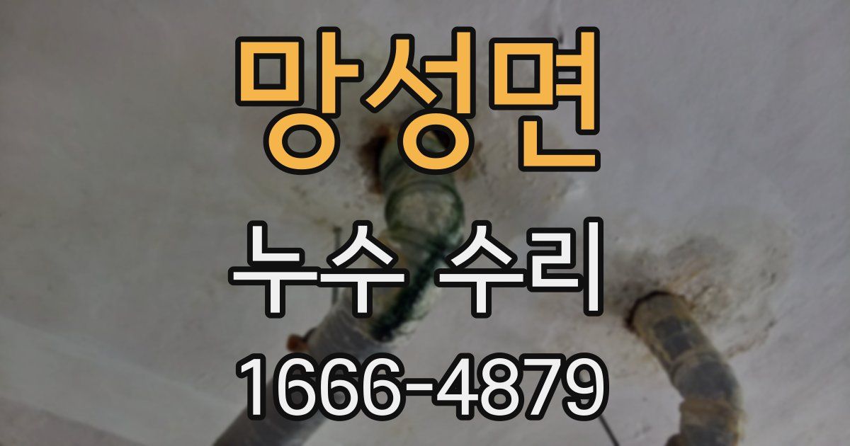 망성면 누수 수리