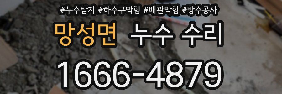 망성면 누수 수리