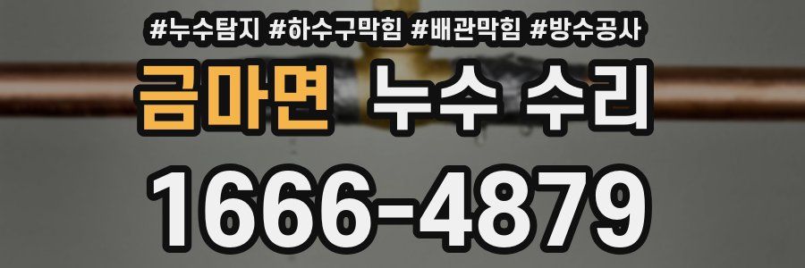 금마면 누수 수리
