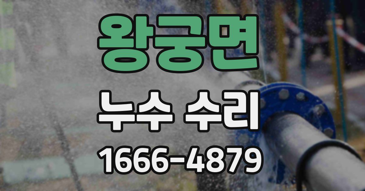 왕궁면 누수 수리