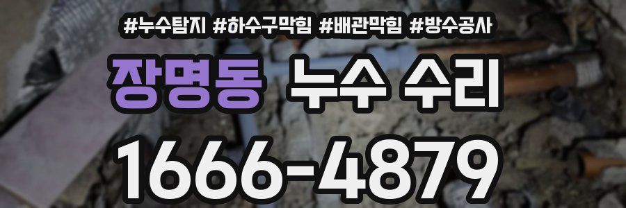장명동 누수 수리