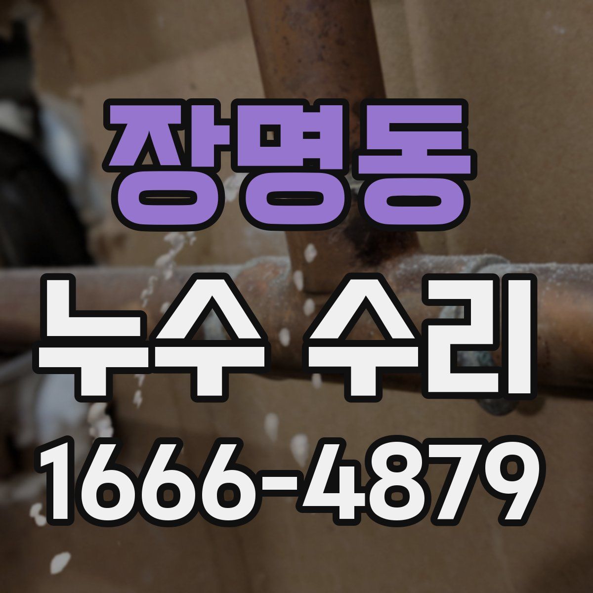 장명동 누수 수리