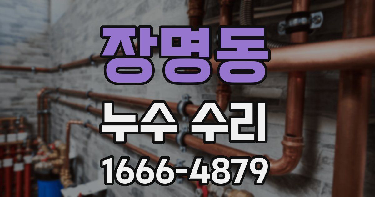 장명동 누수 수리