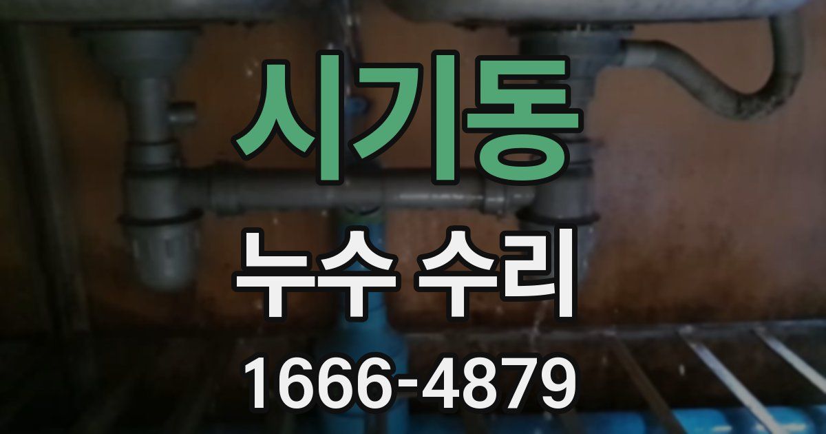 시기동 누수 수리