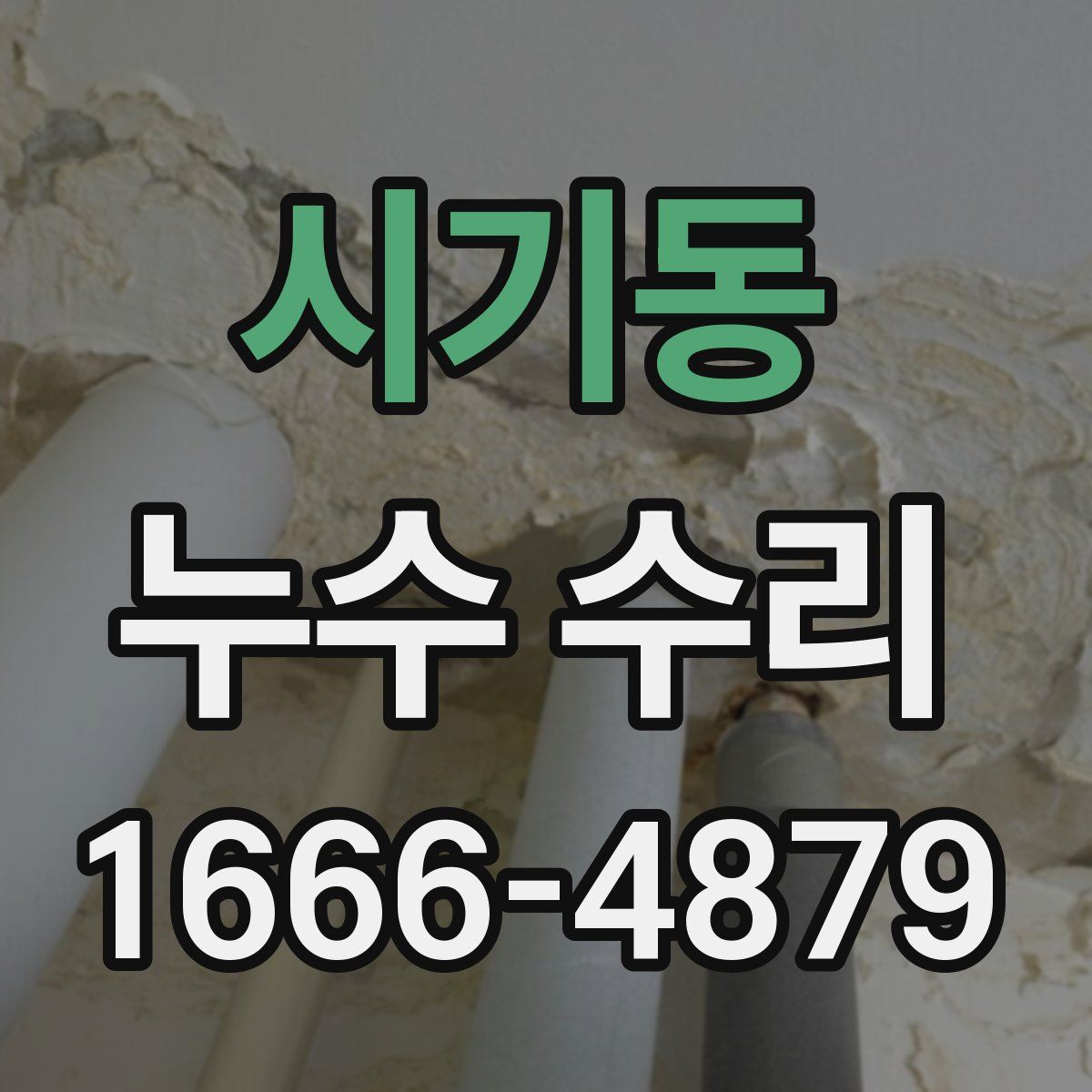 시기동 누수 수리