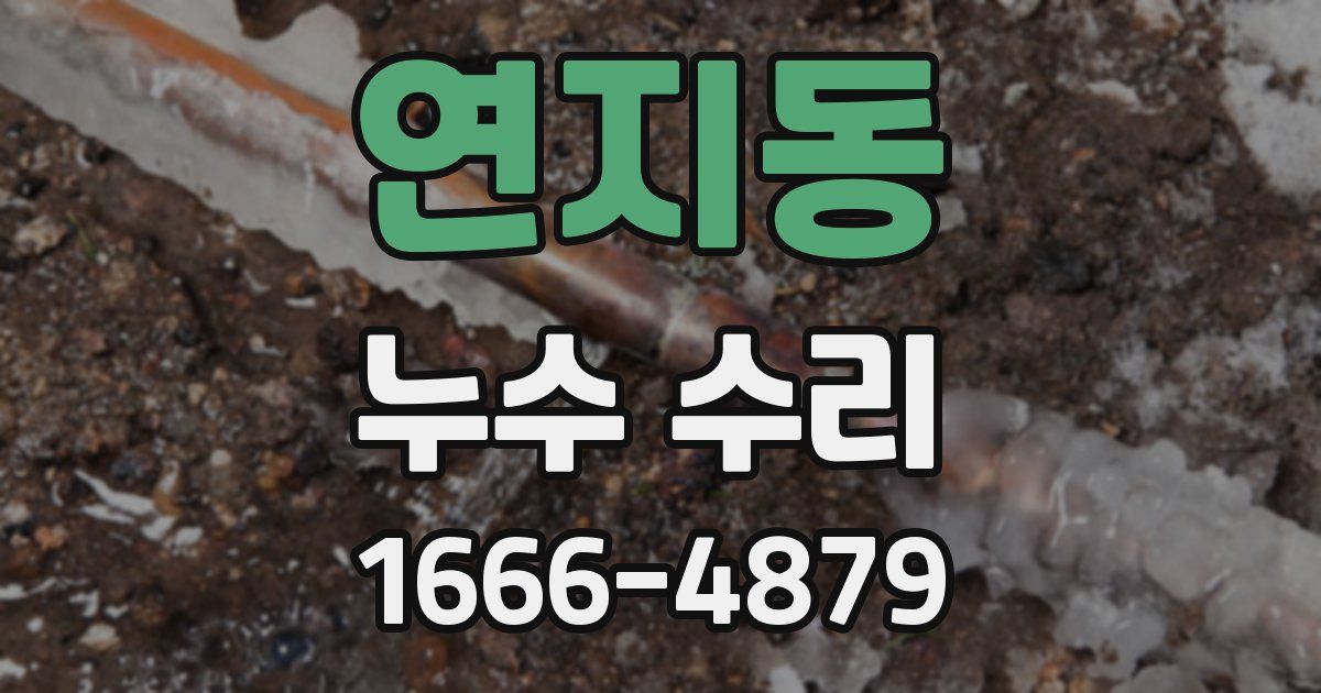 연지동 누수 수리