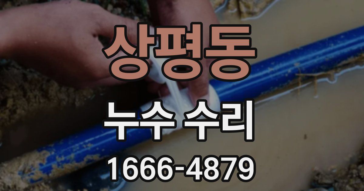상평동 누수 수리