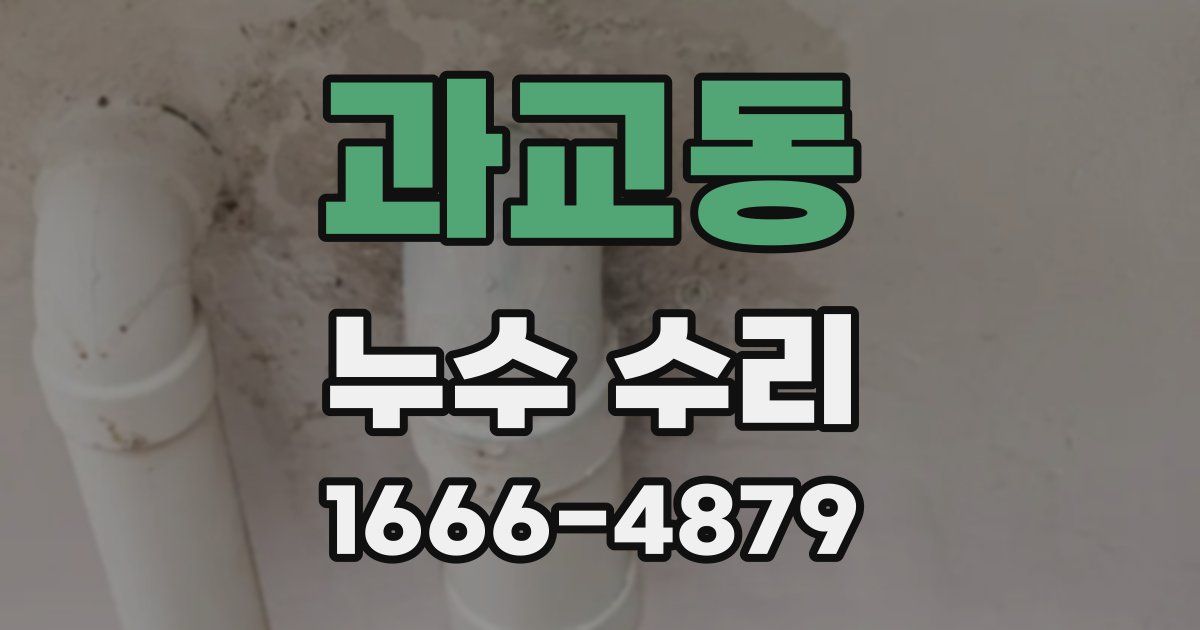 과교동 누수 수리