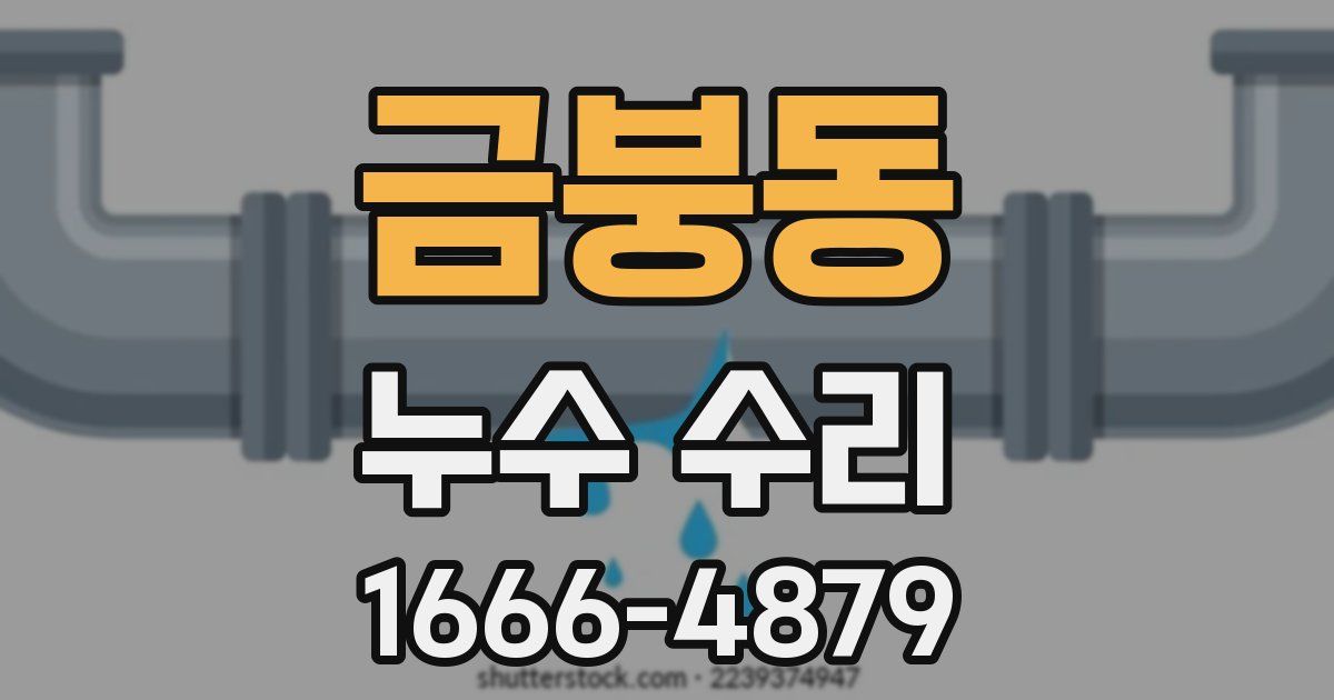 금붕동 누수 수리