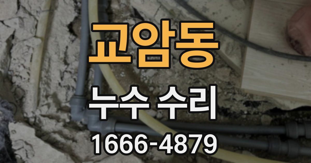 교암동 누수 수리