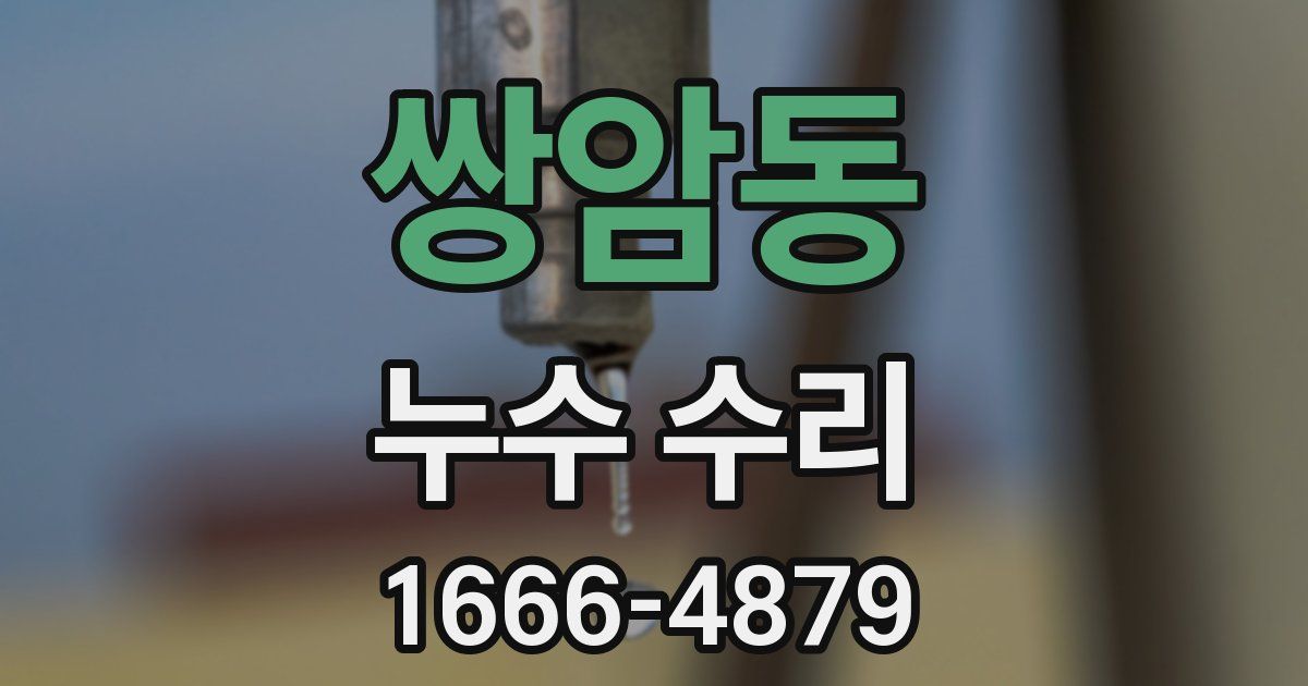 쌍암동 누수 수리