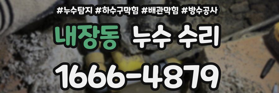 내장동 누수 수리