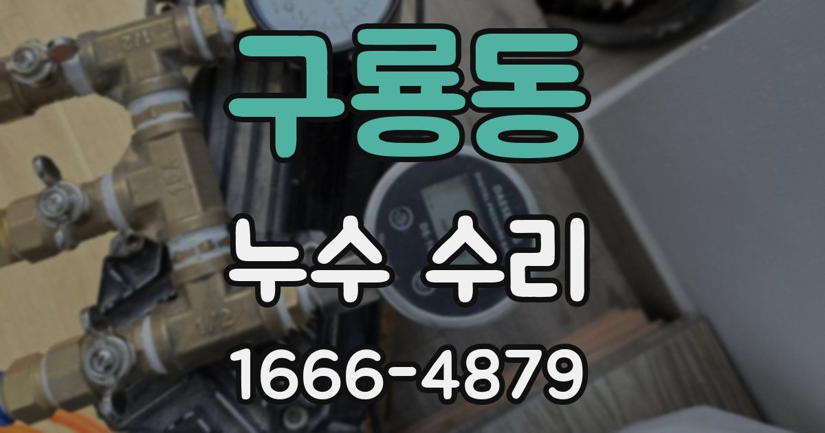 구룡동 누수 수리
