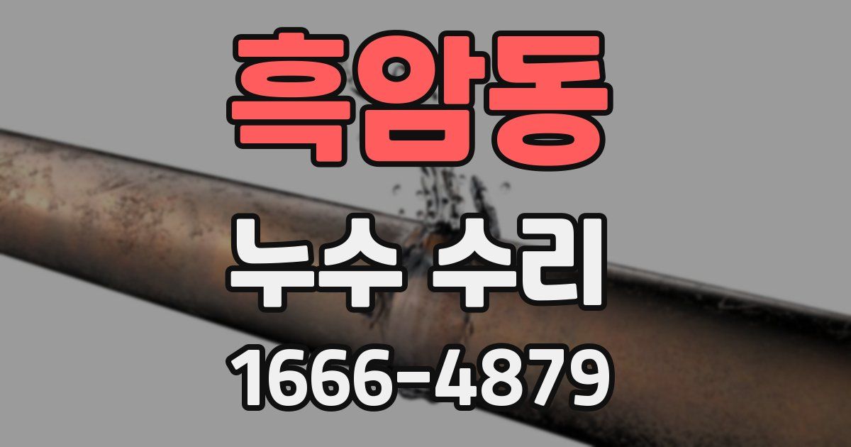 흑암동 누수 수리