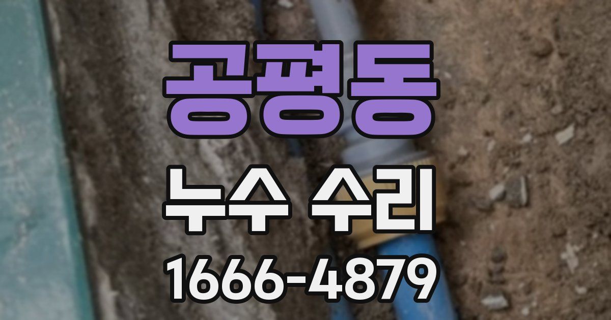 공평동 누수 수리