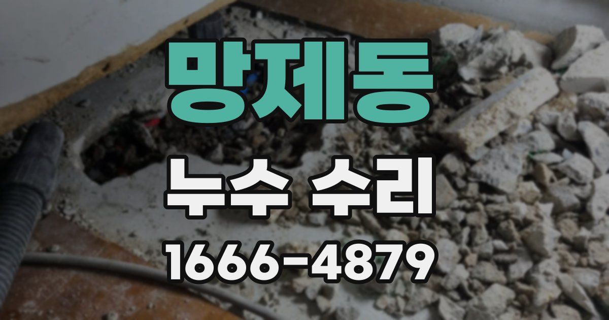 망제동 누수 수리