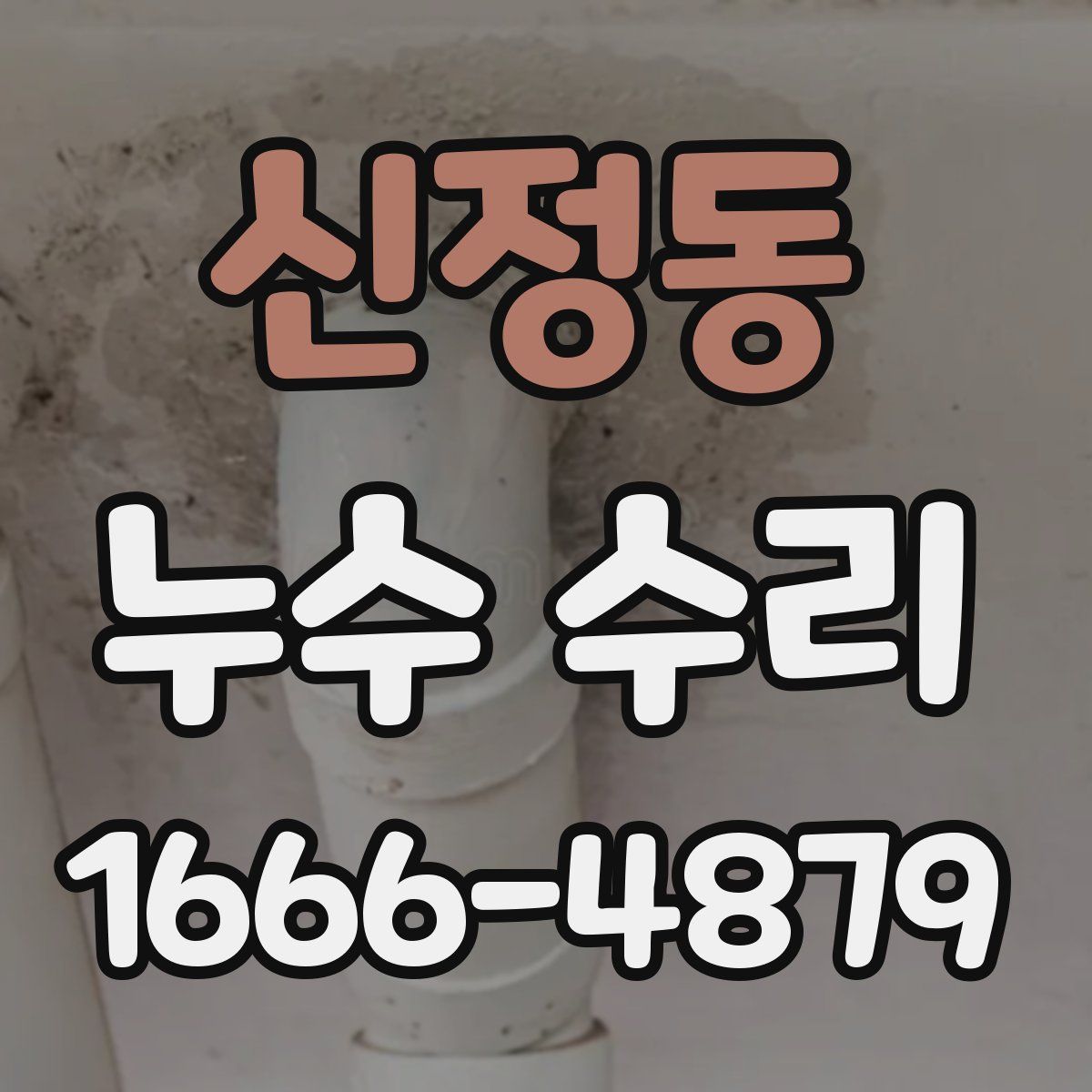 신정동 누수 수리