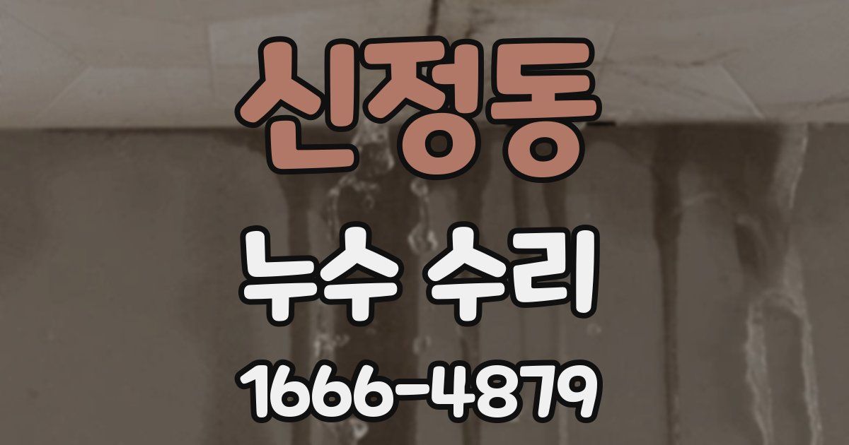 신정동 누수 수리