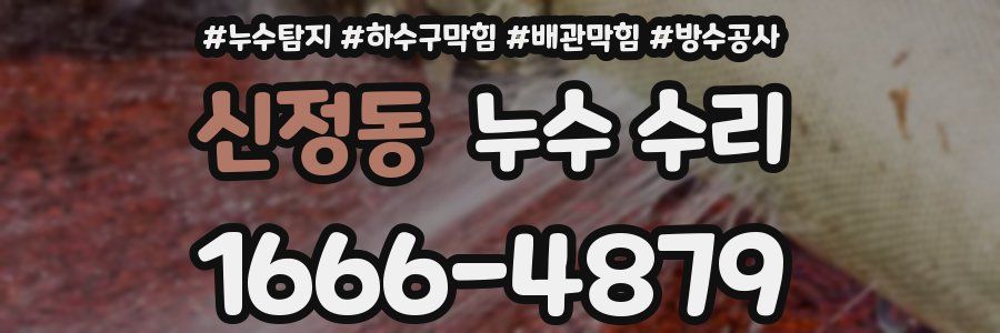 신정동 누수 수리